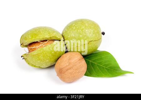 Walnüsse auf weißem Hintergrund. Nüsse in der Schale. Walnussblatt. Stockfoto