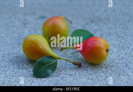 Rote und gelbe Birnen Stockfoto