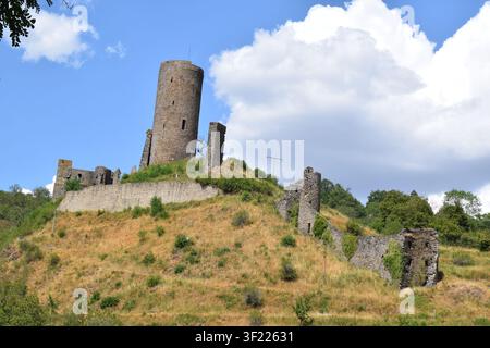 Löwenburg über Monreal in der Eifel im Sommer Stockfoto