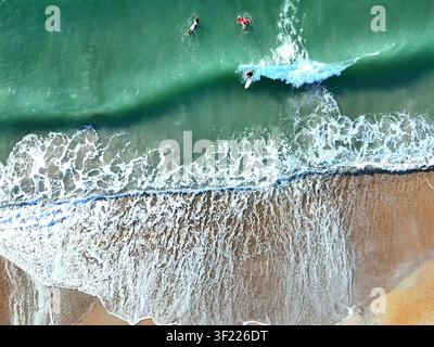 Luftaufnahme von oben: Surfer, die Wellen in klarem türkisblauem Ozeanwasser entlang einer sandigen Strandküste reiten. Stockfoto