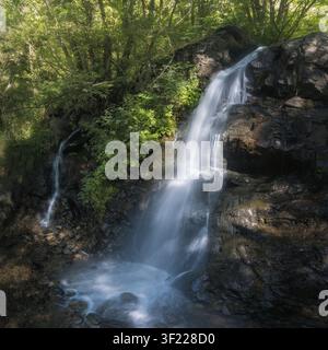 Ein ruhiger Wasserfall fließt sanft über Felsen, umgeben von lebhaften Bäumen in Llivia, Cerdanya, Katalonien Stockfoto