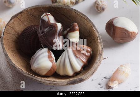 Meeresmuschel-förmige Pralinen für das Dessert Stockfoto