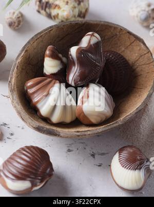Meeresmuschel-förmige Pralinen für das Dessert Stockfoto