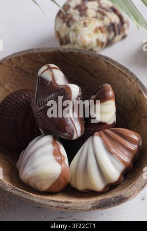 Meeresmuschel-förmige Pralinen für das Dessert Stockfoto