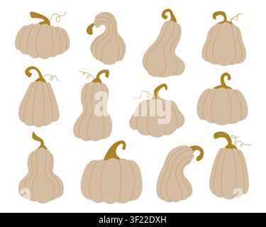 Beige und goldene Herbstkürbisse Set Vektorillustration. Minimalistische Pastell-Kürbisse und -Gurken-Kollektion isoliert auf weißem Hintergrund. Ästhetische neutrale Hersterntntelemente für Thanksgiving, Dekor Stock Vektor