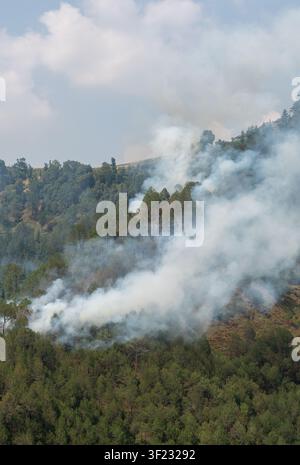 Eine Luftaufnahme zeigt dichten weißen Rauch von einem Kiefernwaldbrand, der über einen mit Kiefern bewachsenen Berghang in Himachal Pradesh in den Himmel aufsteigt. Stockfoto