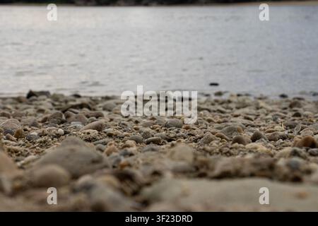 Horizontale selektive Fokusaufnahme von Kieselsteinen am Ufer der Donau, mit unscharfem Vordergrund und Hintergrund Stockfoto