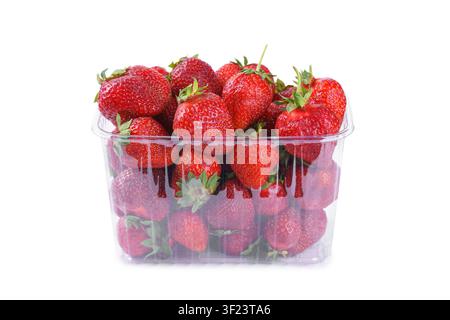 Frische reife Erdbeeren in durchsichtiger Schale oder Plastikbox, Behälter isoliert auf weißem Hintergrund. Süße saftige Beeren bereit für einen gesunden Snack Stockfoto