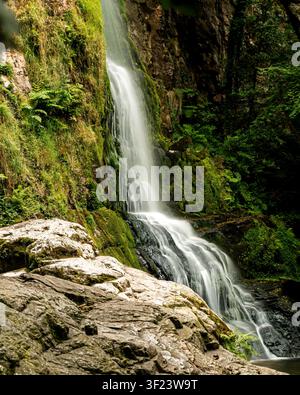 Nahaufnahme eines kaskadierenden Wasserfalls, der über dunkle, moosige Felsen in ein kleines Becken fließt, umgeben von Farnen und üppiger Waldvegetation in Asturien, Spanien Stockfoto