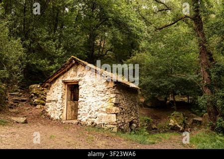 Kleine traditionelle Steinwassermühle mit einer Holztür und einem moosbewachsenen Ziegeldach, umgeben von dichtem atlantischem Wald und felsigen Pfaden in Asturien, Spanien. Stockfoto
