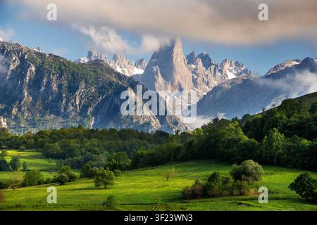 Der Naranjo de Bulnes (Picu Urriellu), ein legendärer Kalkstein-Gipfel, gesehen vom Aussichtspunkt Pozo de la Oración in Cabrales, Asturien, Spanien. Steigt dr Stockfoto