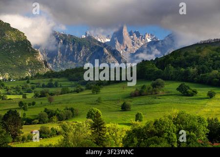 Der Naranjo de Bulnes (Picu Urriellu), ein legendärer Kalkstein-Gipfel, gesehen vom Aussichtspunkt Pozo de la Oración in Cabrales, Asturien, Spanien. Steigt dr Stockfoto