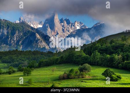 Der Naranjo de Bulnes (Picu Urriellu), ein legendärer Kalkstein-Gipfel, gesehen vom Aussichtspunkt Pozo de la Oración in Cabrales, Asturien, Spanien. Steigt dr Stockfoto