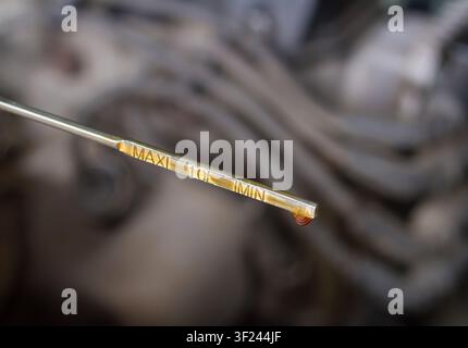 Ölpegel des Autos mit einem Tropfen Motoröl. Wartung des Autos in der Garage. Stockfoto