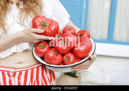 Eine Frau hält eine Schüssel gefüllt mit frisch geernteten reifen Tomaten, ideal für die Herstellung von Salsa, Gazpacho oder Tomatensoße in einer lebendigen Kücheneinrichtung. Stockfoto