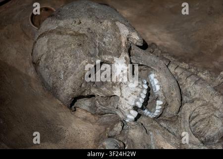 Harappanische Bestattung aus Rakhigarhi. Skelett einer Frau mittleren Alters, ausgestreckt in Nord-Süd-Richtung mit nach Westen gedrehtem Kopf, geschätzte Körpergröße 165 cm Stockfoto