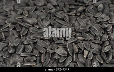 Sonnenblumenkern-Texturhintergrund, schwarze Sonnenblumenkorn-Snackmuster, essbares Ölkerne-Banner, Sonnenblumenkern-Vorlage mit Kopierplatz für Text Stockfoto
