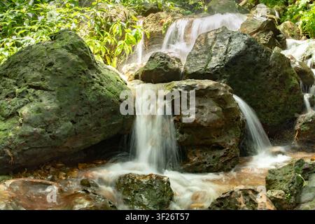 Ein kleiner Wasserfall stürzt über moosbedeckte Felsen in einer üppigen, grünen Waldlandschaft. Stockfoto