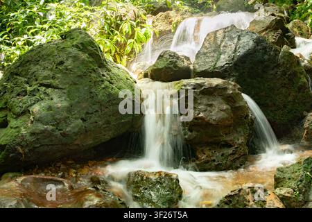 Wasserfall, der über moosbedeckte Felsen in einem üppigen grünen Wald fließt Stockfoto