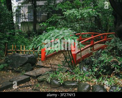 Rote Holzbrücke in einem üppigen grünen Garten nach dem Regen am Akasaka Hikawa-Schrein in Tokio, Japan Stockfoto