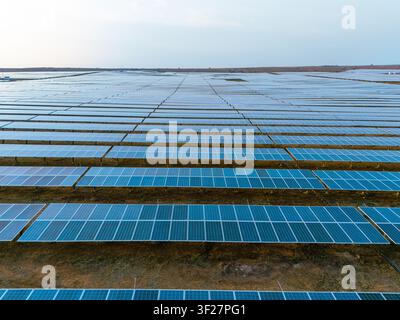 Breite Drohnenansicht eines großflächigen Solar-Kraftwerks mit Photovoltaik-Panels unter klarem Himmel Stockfoto