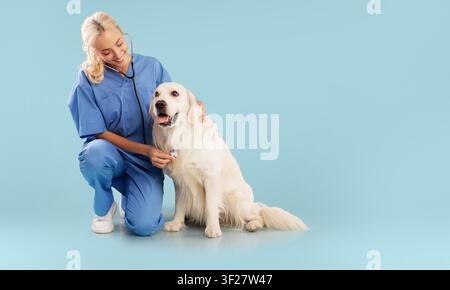Tierärztin untersucht Hund in der Klinik, glückliches Haustier und Besitzer. Gesundheitskonzept Stockfoto