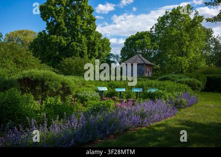 Toronto, Ontario, Kanada – 20. Juni 2026: Der Franklin Children's Garden ist ein interaktiver Garten für Familien im Toronto Island Park, der inspi Stockfoto