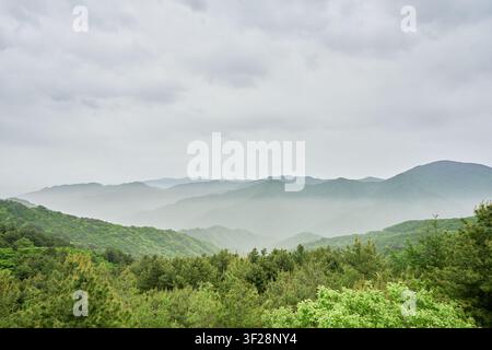 Satte grüne asiatische Bergkämme, die unter einem bewölkten Himmel in Morgennebel gehüllt sind Idealbestand für Öko-Tourismus-Reisen und Umweltredaktionsmedien Stockfoto