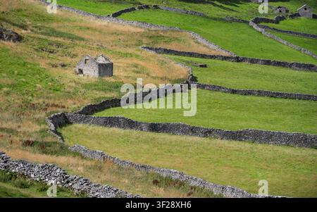 Eine erhöhte Ansicht einer verlassenen Stein scheune, umgeben von einem historischen Netzwerk aus Trockenmauern und grünen Feldern auf dem Plateau des Peak District, UK Stockfoto