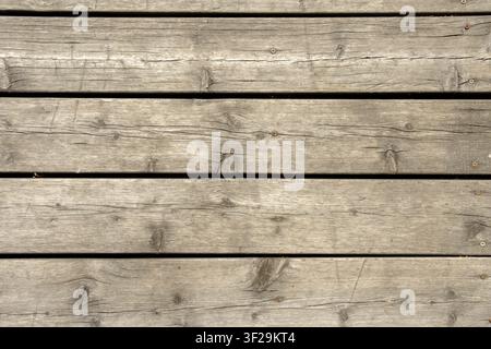 Verwitterte graue Holzplanken mit detaillierter natürlicher Maserung und Astknoten. Kleine verrostete Schrauben auf der horizontalen Oberfläche. Stockfoto