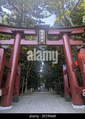 Blick auf das rote Torii-Tor am Yahiko-Schrein, umgeben von einem üppigen Waldweg, durch den Sonnenlicht durch die Bäume fällt, in Yahiko, Niigata, Japan. Stockfoto