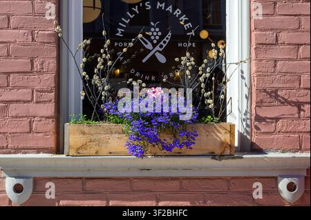 Rustikaler Blumenkasten unter dem Fenster von Milly's Market mit bunten Blüten an einem historischen Ziegelfassaden. Stockfoto