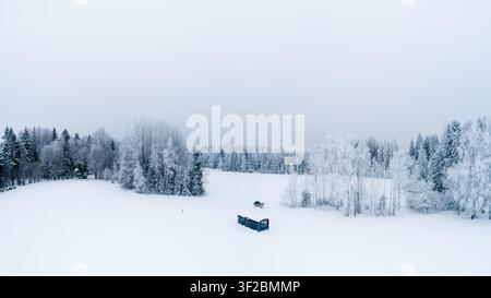 Luftbild einer kleinen dunklen Hütte, die in einer weiten, schneebedeckten Landschaft in Lettland eingebettet ist und von frostbedeckten Kiefern und Birken umgeben ist. Stockfoto