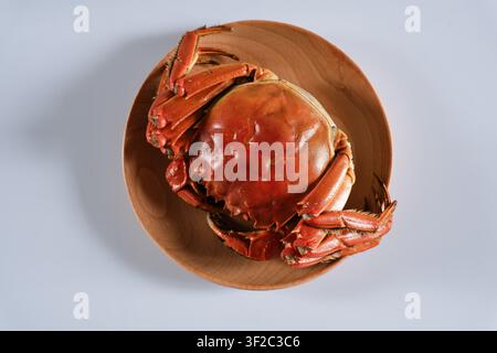 Oberansicht eines gekochten ganzen Krebses auf einem braunen Teller vor einem hellen Hintergrund, einfache Lebensmittelstilleben mit Kopierraum für Meeresfrüchte, Restaurant, Speisekarte oder Stockfoto