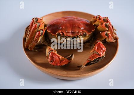 Gekochter Roter Krebs auf einem runden Holzteller isoliert auf einem hellen Hintergrund, von vorne gezeigt. Meeresfrüchte-Mahlzeit mit Scheren, Schalentextur und schlichtem Studio Stockfoto