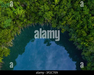 Luftbild des Three Eyes National Park mit einem tiefblauen Cenoten, umgeben von üppiger grüner tropischer Vegetation und hängenden Wurzeln in Santo Domin Stockfoto