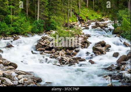 Schnell fließendes Wasser des Krimmler Ache stürzt über Felsen und Geröll in einem üppigen grünen Nadelwald nahe den Krimmler Wasserfällen in den Hohen Tauern Stockfoto