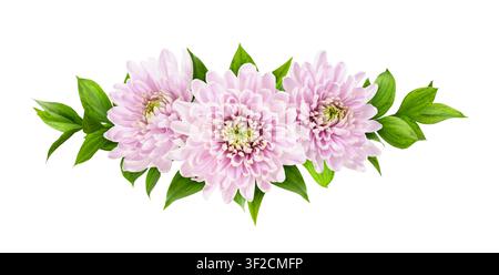 Rosa Chrysantellenblüten grüne Blätter von Ruscus in einem Blumenarrangement isoliert auf weißem Hintergrund Stockfoto