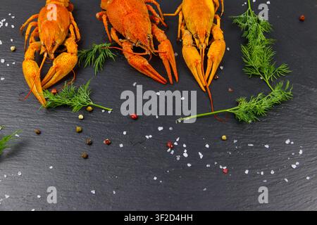 Rot gekochte Krebse mit Dill und Gewürzen auf schwarzem Schiefergrund. Draufsicht Stockfoto