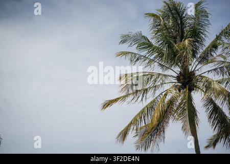 Raue Meereswellen schlagen auf sandigen Strand unter stürmischem Wetter unter bewölktem Himmel auf leere Holzmöbel am Strand Stockfoto