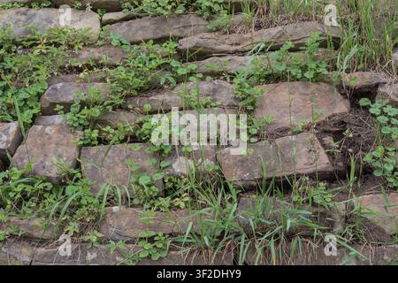 Traditionelle Stützmauer aus Natursteinblöcken mit Wildpflanzen und Gras. Rustikales Mauerwerk und Detail der Landschaft. Stockfoto