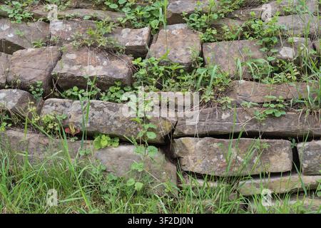Traditionelle Stützmauer aus Natursteinblöcken mit Wildpflanzen und Gras. Rustikales Mauerwerk und Detail der Landschaft. Stockfoto