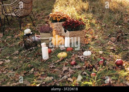 Warme Herbst-Stillleben mit Kürbissen, Chrysanthemen in geflochtenen Körben, Kerzen und verstreuten Äpfeln auf Gras und gefallenen Blättern, die eine gemütliche Meeresstimmung vermitteln Stockfoto