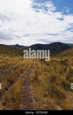 Feuerstraße der Sierra de la Ventana-Bergkette, die durch trockenes Grasland in das Gebirge führt Stockfoto