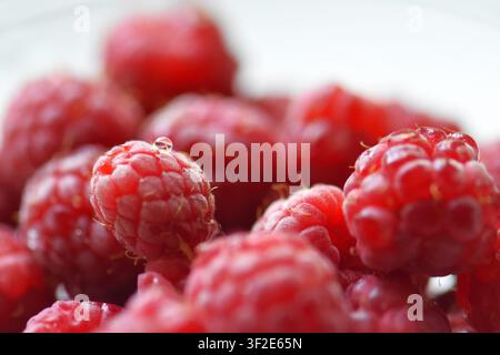 Frische reife Himbeeren in einer Glasschale auf weißem Hintergrund Stockfoto