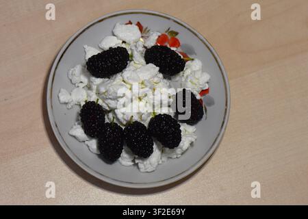 Mulbeere und Hüttenkäse auf einem Teller Stockfoto