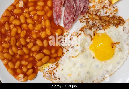 Gebackene weiße Bohnen in Tomatensoße, Textur Nahaufnahme. Gekochte und eingemachte Hülsenfrüchte mit Ketchup und Eiern, kleiner Nieren-Eintopf auf unscharfem Hintergrund, selektiv Stockfoto