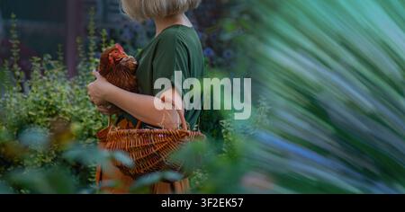 Frau hält eine Hauslegehenne neben einem Holzhühnerstall im Freien. Ländliche Landwirtschaft, biologische Geflügelzucht, Unterstützung der nachhaltigen Nahrungsmittelproduktion c Stockfoto