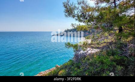Sonnenbeschienene Aussicht auf eine kristallklare türkisfarbene Mittelmeerbucht. Üppige Kiefernzweige rahmen die felsige Küste und das ruhige blaue Meer an einem hellen Sommertag Stockfoto