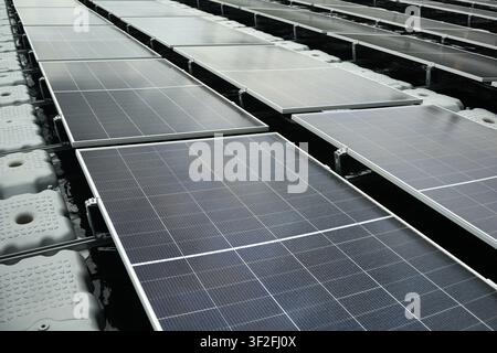 Luftaufnahme von schwimmenden Solarpanelen, die auf einem Wasserreservoir installiert sind, und zeigen die erneuerbare Energieinfrastruktur in der Regierungsbezirk Berau, Ost-Kalimantan, Indonesien Stockfoto